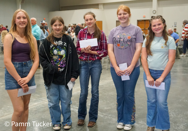 Inaugural Lee Stoneking Memorial Fiddle Contest in Clinton, MO (5/24/25) - photo © Pamm Tucker