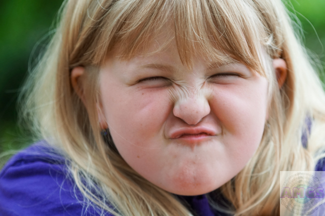 American Heritage Music Festival and Grand Lake National Fiddle Fest - photo © Pamm Tucker