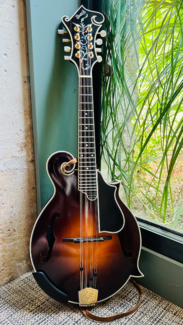 Banjolit Mini Mandolin armrest